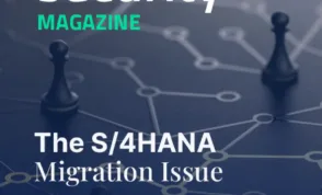 The S/4HANA Migration Issue