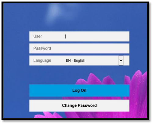 Fiori Launchpad Login Screen